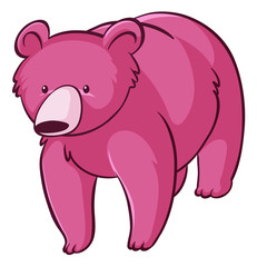 Pink bear on white background