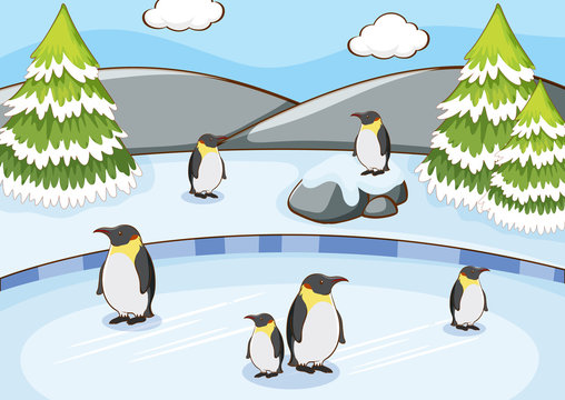 Scene with penguins in the snow