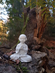 Buddah statue in garden