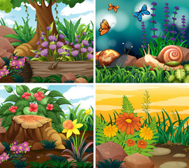 Set of background scene with nature theme