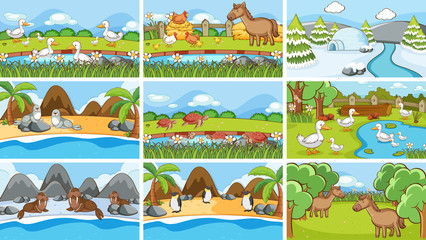 Background scenes of animals in the wild