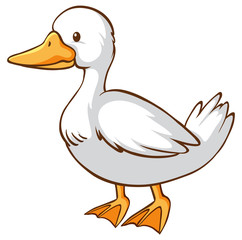 Cute duck on white background