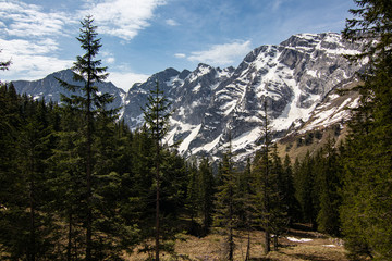 view on bavarian alps