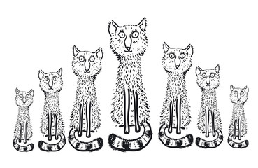 Cartoon cats set. Hand drawn illustration.