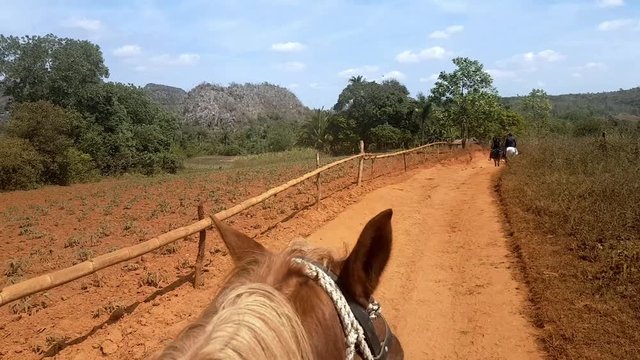 Galopp on the horse in the beautiful village of Vinales during sunny day