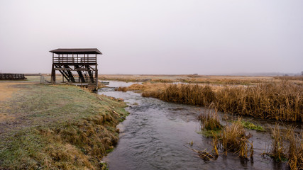 Narwiański Park Narodowy, Waniewo, Podlasie, Polska © podlaski49