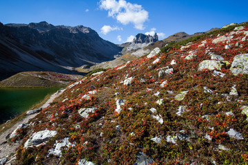 Fototapeta premium hiking trails in the Alps mountains.
