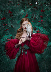 Art photo of a girl in a red dress with an owl barn owl framed by rowan branches