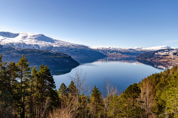 Stryn