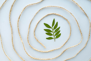 Zero waste background with jute thread circle pattern at gray background and green plant branch....