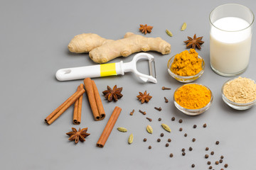 Milk in glass with ingredients for cooking Indian drink turmeric beverage. Spices: cardamom, cinnamon sticks, star anise, turmeric, ginger, pepper, cloves on gray  background.