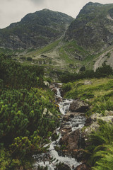 Górski strumy w Tatrzańskim Parku Narodowym