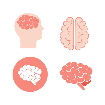 Set of four icons of human brain in pink. Lateral, superior views of cerebrum, in circle and in the head. Vector illustration in flat style are isolated on white background.