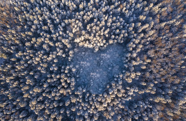 aerial view of a heart shaped meadow in a winter forest