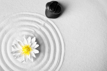 Zen garden. Beautiful lotus flower, stones and space for text on white sand, flat lay