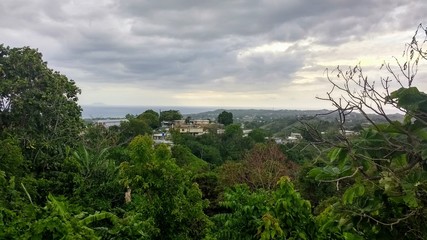 Fototapeta na wymiar Rincon Puerto Rico landscape with trees and blue sky