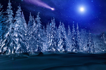 Moon and comet over mysterious night winter forest. Winter night landscape. Spruce forest in winter