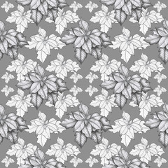 pattern poinsettia