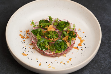 Beef tartare dish with fresh vegetables in white plate on dark background