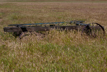 Old wagon in a field