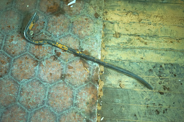 The ocrowbar on the old destroyed floor.