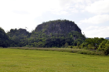 PINAR DEL RIO