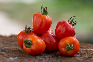 Group of ripened tasty red raw strawberry tomatoes on wood on green natural background, tasty healthy vegetables still life