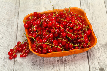 Sweet tasty fresh Red currant