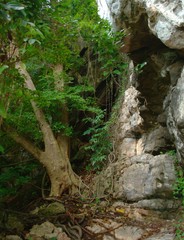 Hidden cave in the middle of the jungle of Phi Phi Don island, Thailand.