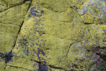 Moss on the stone walls