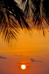 Tropical Sunset and Palm Leaves