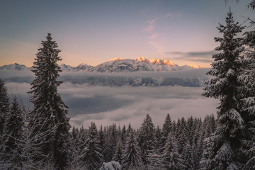 austrian alps. sunset and forest