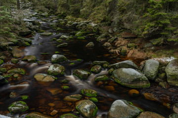 Vydra river in winter cold day in national park Sumava