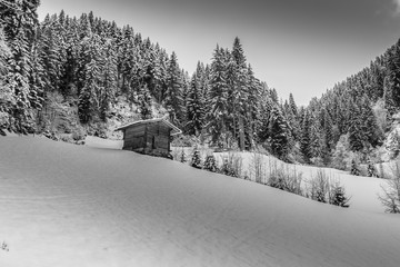 Holzhütte am Waldrand in verschneiter Landschaft in schwarz weiß