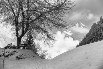 Rastbank unter Bäumen in verschneiter Winterlandschaft in schwarz weiß