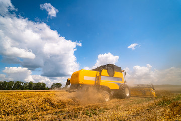 Combine harvester in action on wheat field. Process of gathering ripe crop from the fields....