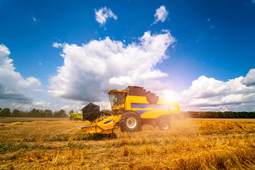 Obraz premium Combine harvester in action on wheat field. Harvesting is the process of gathering a ripe crop from the fields.