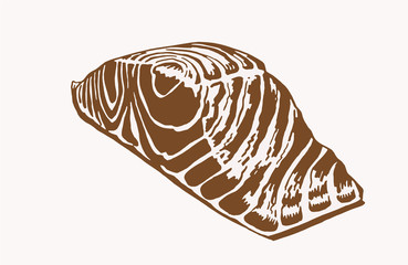 Graphical vintage piece of salmon , sepia background,vector  illustration