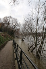 La Seine en crue sur l’île de la Jatte