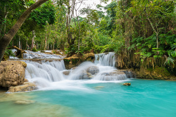 Kuang Si Waterfall in Luang prabang, Laos.