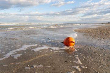 Obraz premium object from the sea on the shore
