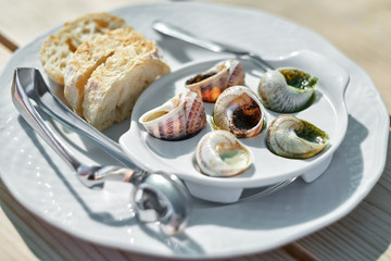 Restaurant delicious dish with stuffed snails under different sauces with sliced baguette. Dish of snails on a plate close up.