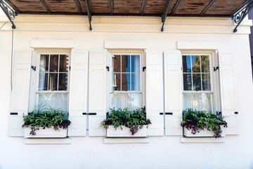 Naklejka premium In a city of gardens, these beautiful planter boxes are seen in the historic district of Charleston, South Carolina, a popular slow travel destination in the southern United States.