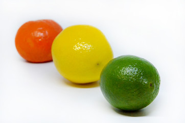 different types of citrus fruits on a white background 