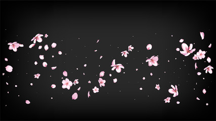 Nice Sakura Blossom Isolated Vector. Spring Flying 3d Petals Wedding Texture. Japanese Bokeh Flowers Illustration. Valentine, Mother's Day Feminine Nice Sakura Blossom Isolated on Black