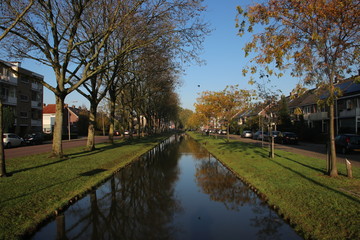 Ditch with water during autumn with coloured leaves in Nieuwerkerk aan den Ijssel