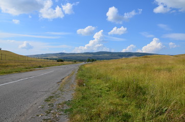 Countryside. White fluffy clouds against the blue sky. A field of green grass on a Sunny day.