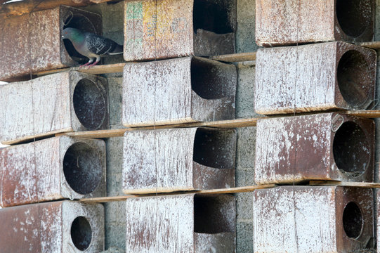 construction of metal boxes made for pegions