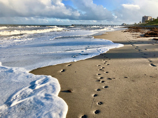 sea foam and footprints on the beach