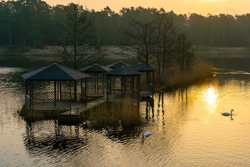 Obraz premium Island with summerhouse in the lake and swan in the sunset. A place to relax on the lake.